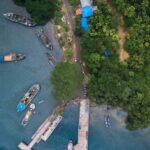 Aerial View of Green Trees Beside the Ocean